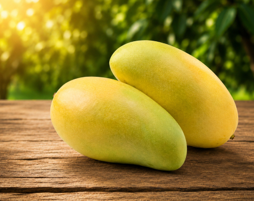 Saroli Mango