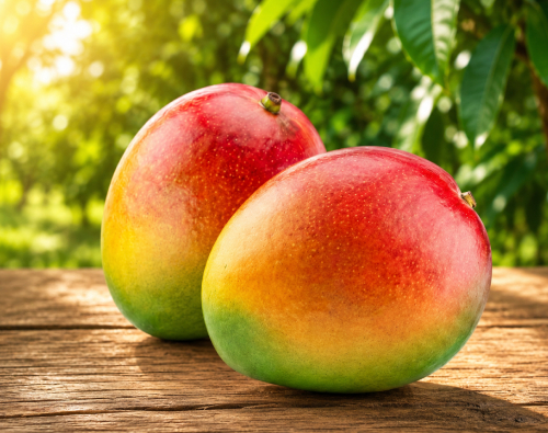 Lal Badshah mangoes are a rare, premium variety known for their exceptional flavor, striking appearance, and smooth, low-calorie pulp. At Makhdoom Fruit Farms, they are carefully grown to showcase their unique color transformation—from purple-green when unripe to rich red-yellow when ripe—along with their well-formed size and superior quality. &nbsp; Quality: Premium / Export Grade Weight : 5kg Origin: Sindh, Pakistan Taste: Sweet, Juicy Delivery Time: 3 to 5 days Delivery: Free Delivery all over Pakistan